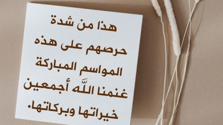 صورة صفقة تيست سعر خدمه